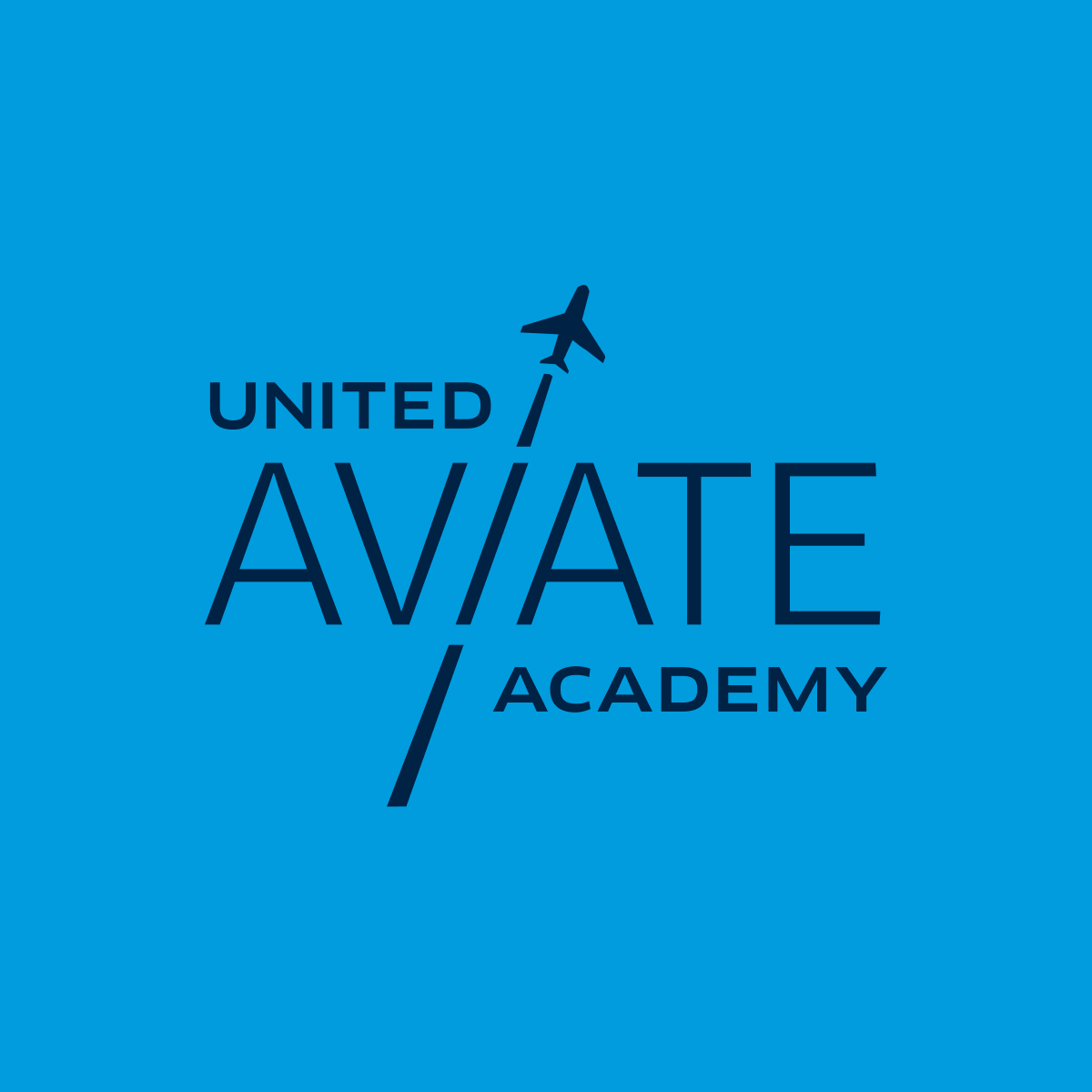 unitedaviate.com